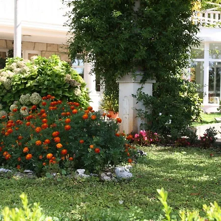 Nikola Apartmán