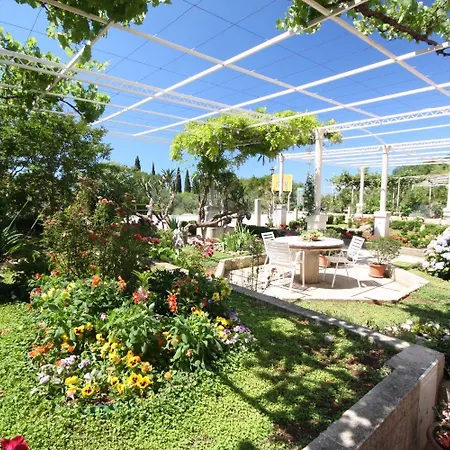 Apartman Nikola